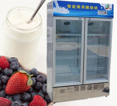 雙門上風(fēng)酸奶機